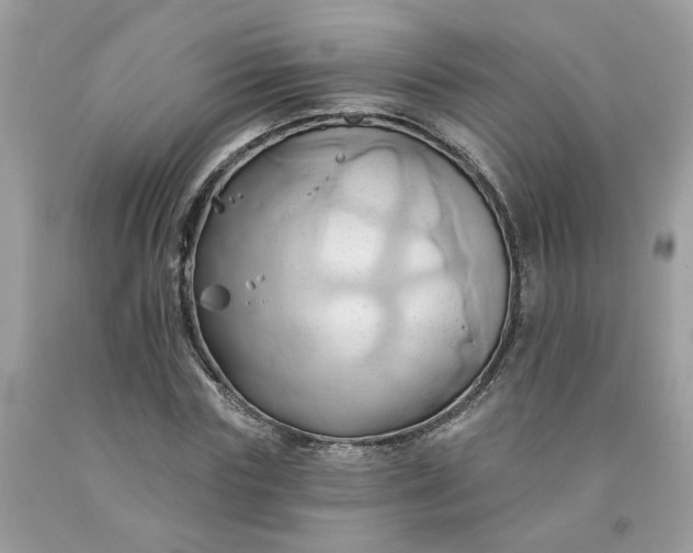 X0000091590827200709051120