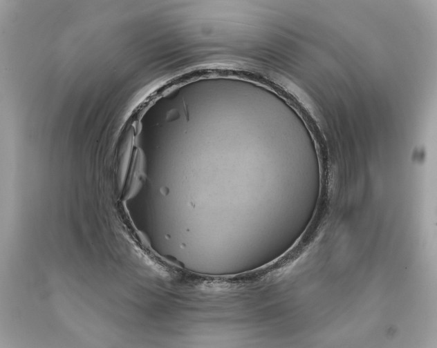 X0000091590829200709051120