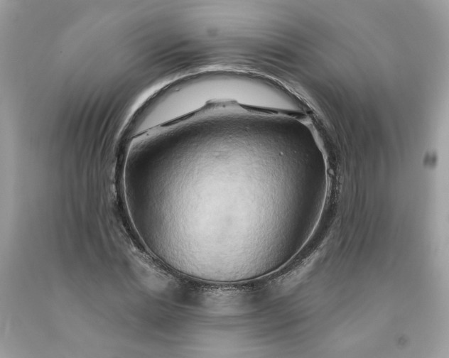 X0000091590830200709051120