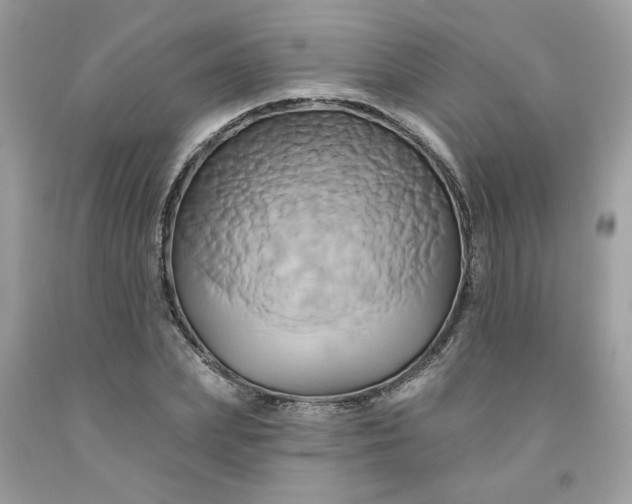X0000091590831200709051120