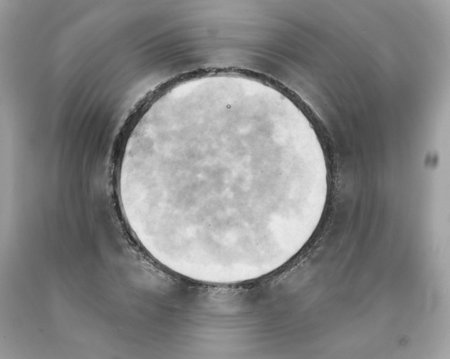 X0000091590832200709051120