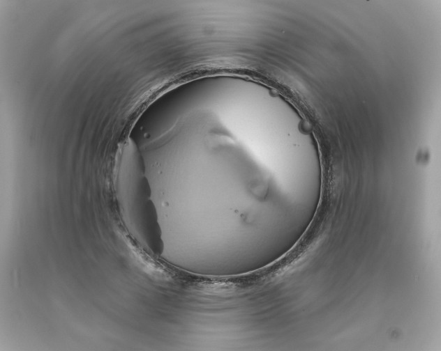 X0000091590833200709051120
