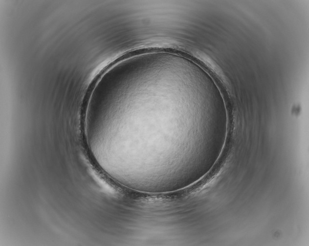 X0000091590834200709051120