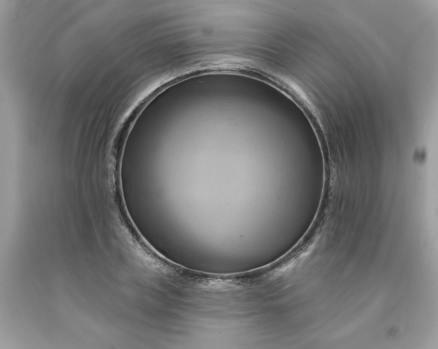 X0000091590835200709051120