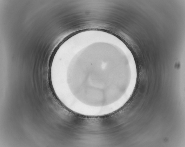 X0000091590836200709051120
