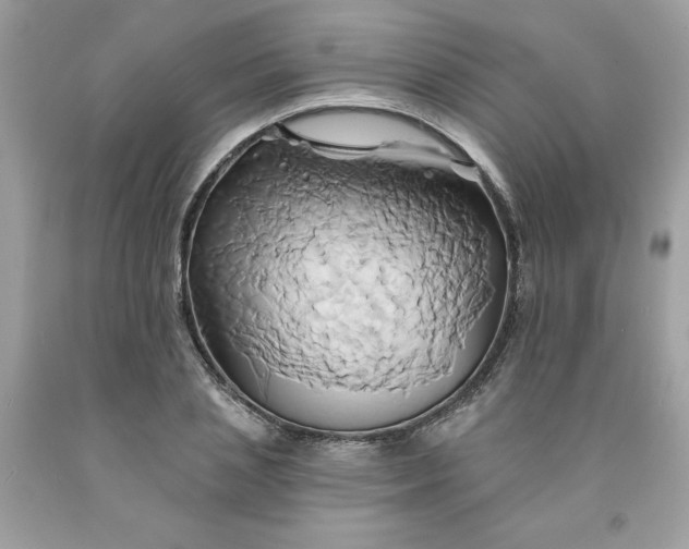 X0000091590837200709051120