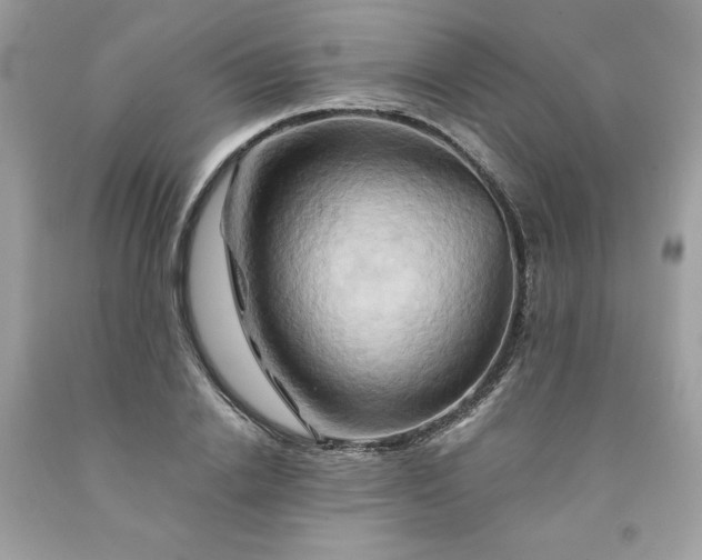 X0000091590838200709051120