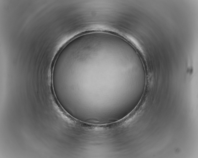 X0000091590839200709051120