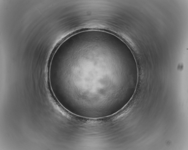 X0000091590840200709051120