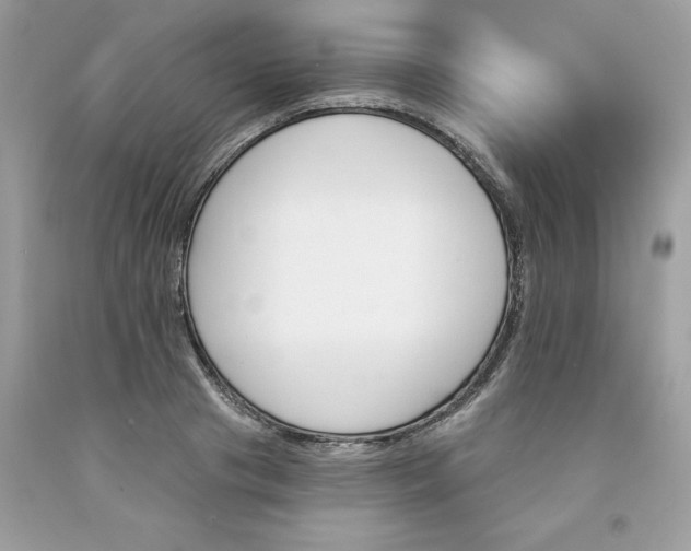 X0000091590841200709051120