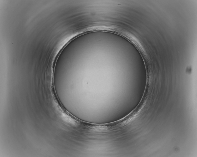 X0000091590844200709051120