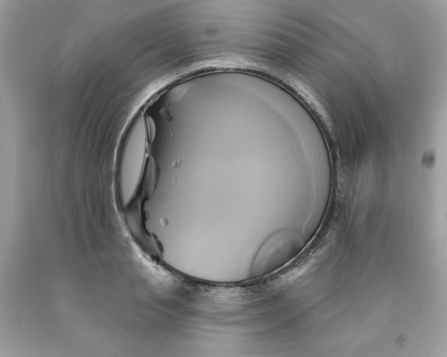 X0000091590845200709051120