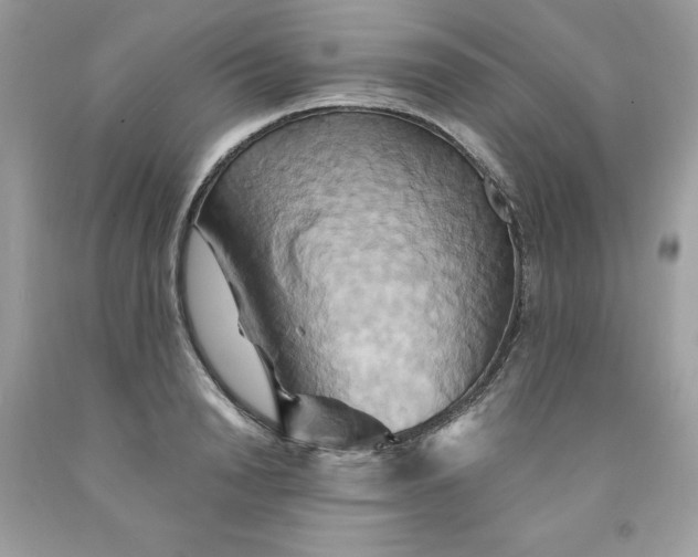 X0000091590846200709051120