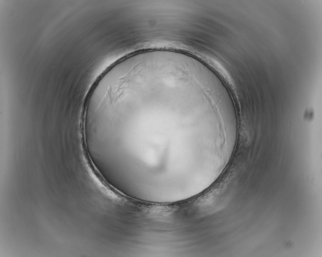 X0000091590847200709051120