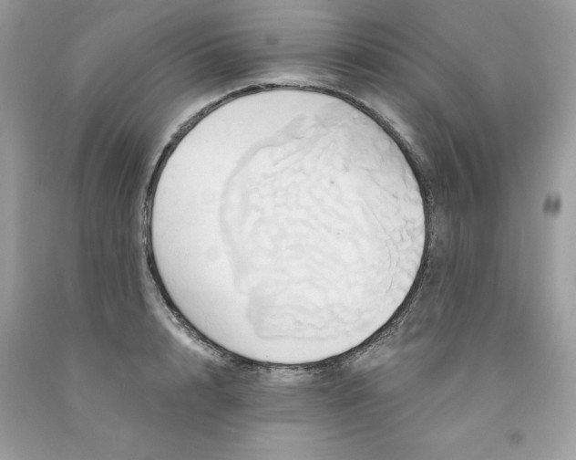 X0000091590848200709051120