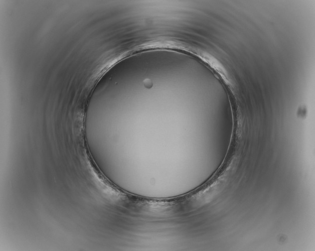 X0000091590849200709051120