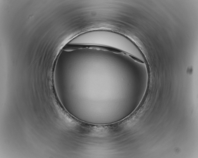 X0000091590850200709051120