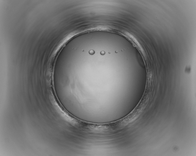 X0000091590851200709051120