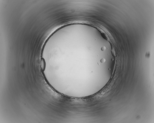 X0000091590852200709051120