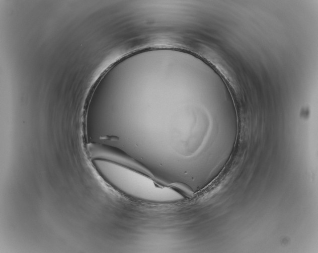 X0000091590853200709051120
