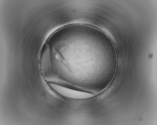 X0000091590854200709051120