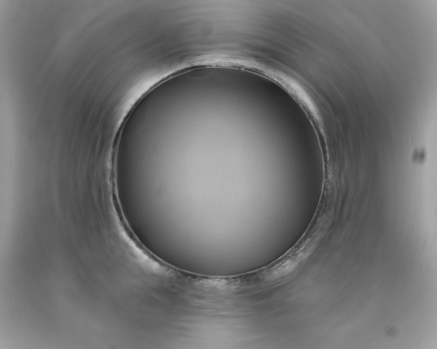 X0000091590855200709051120