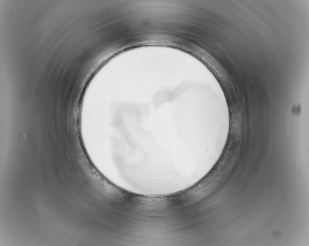 X0000091590856200709051120
