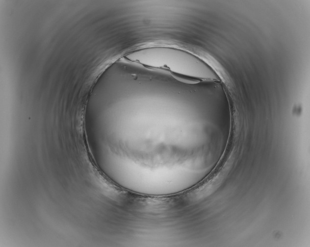 X0000091590857200709051120