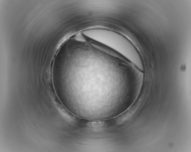 X0000091590858200709051120
