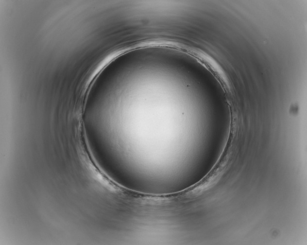 X0000091590860200709051120