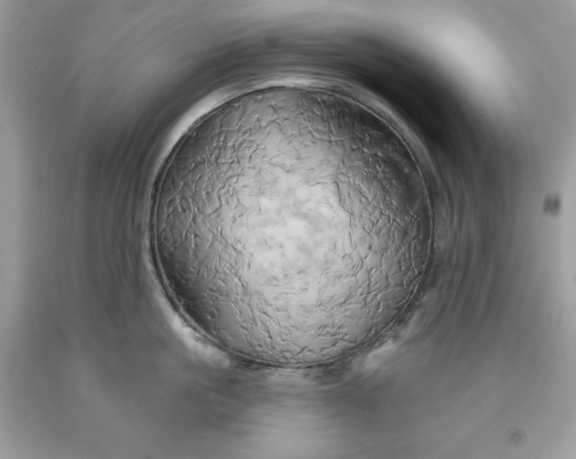X0000091590861200709051120