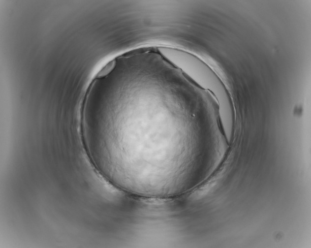X0000091590862200709051120