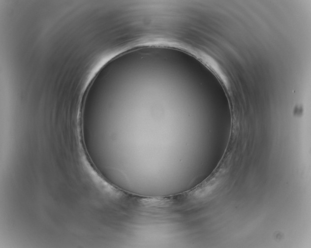 X0000091590863200709051120