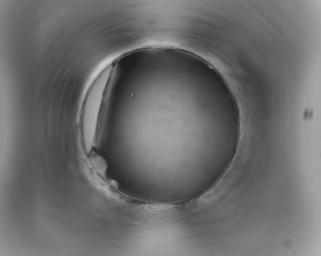 X0000091590864200709051120
