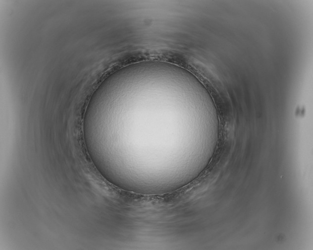 X0000091590865200709051119