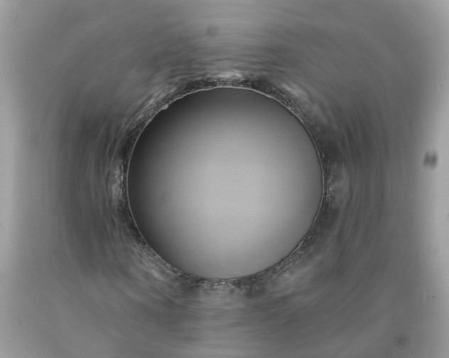 X0000091590866200709051119