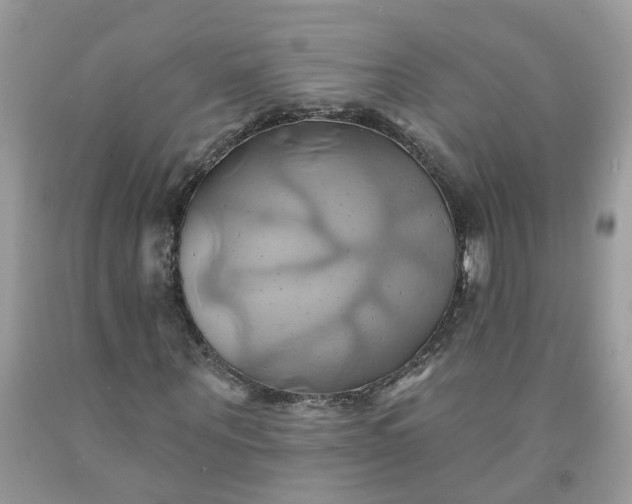 X0000091590867200709051119