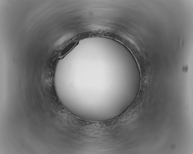 X0000091590869200709051119