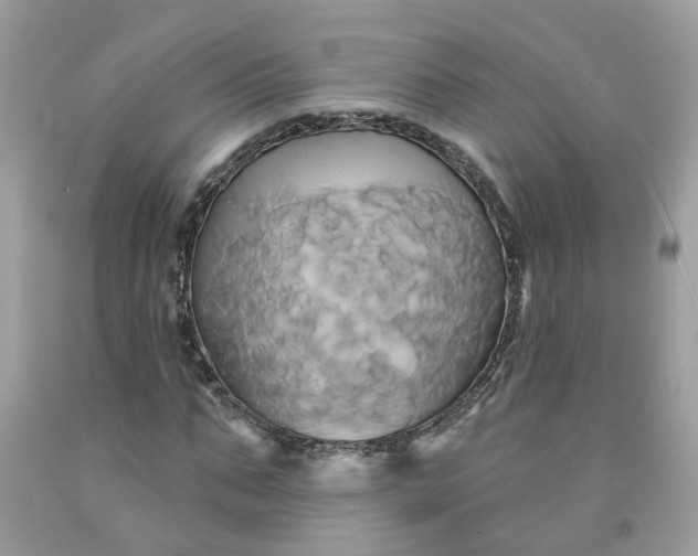 X0000091590871200709051119
