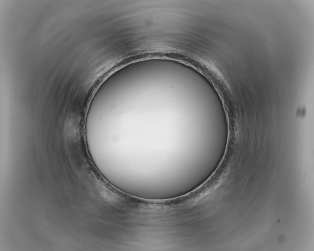 X0000091590873200709051119