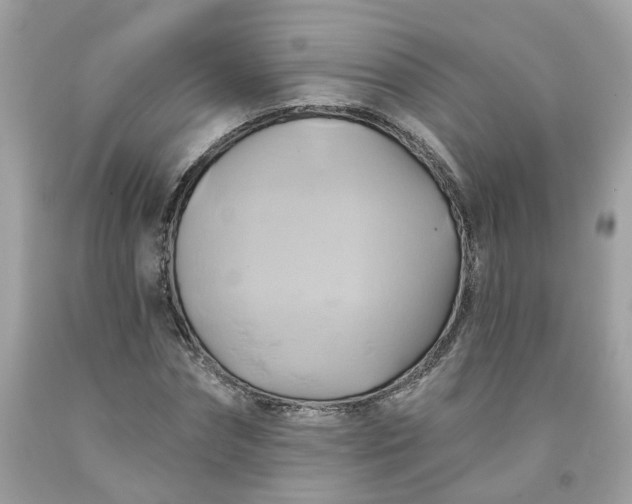 X0000091590874200709051119