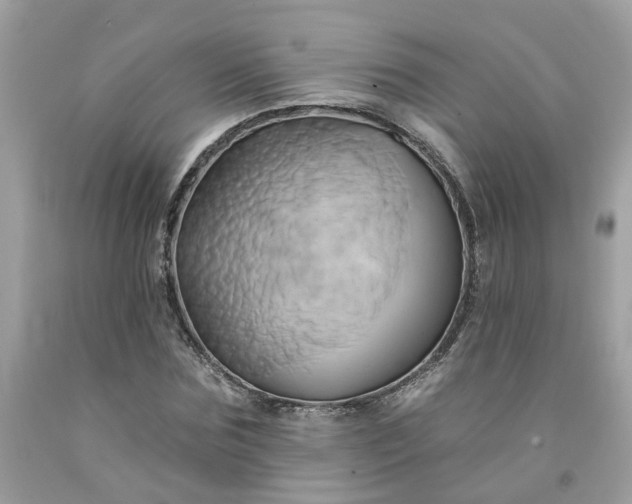 X0000091590875200709051119