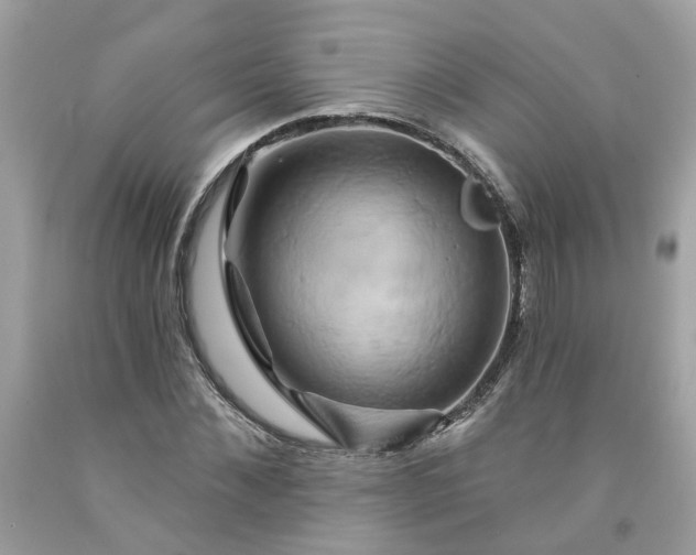 X0000091590876200709051119