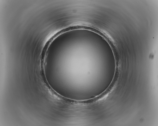 X0000091590877200709051119