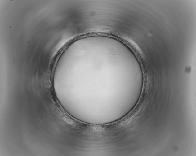 X0000091590878200709051119