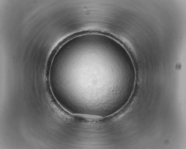 X0000091590880200709051119