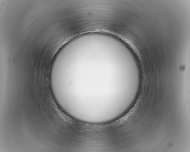 X0000091590881200709051119