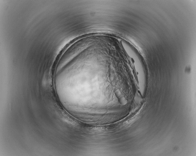X0000091590883200709051119
