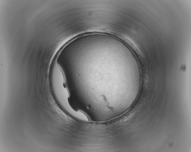 X0000091590884200709051119