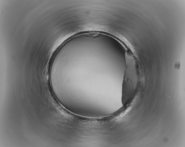 X0000091590885200709051119